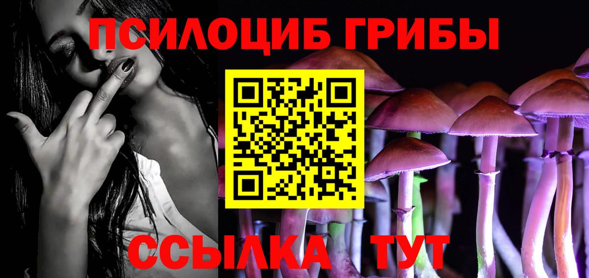 Псилоцибиновые грибы Magic Shrooms Каменка